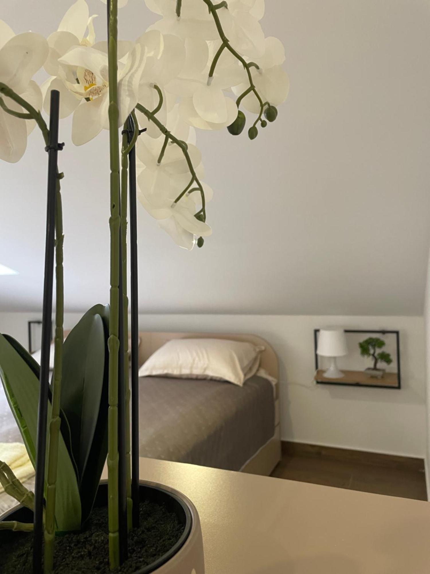 Joy Apartment 6 Belgrade Extérieur photo